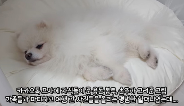 [유튜브 채널 '루퐁이네' 캡쳐]