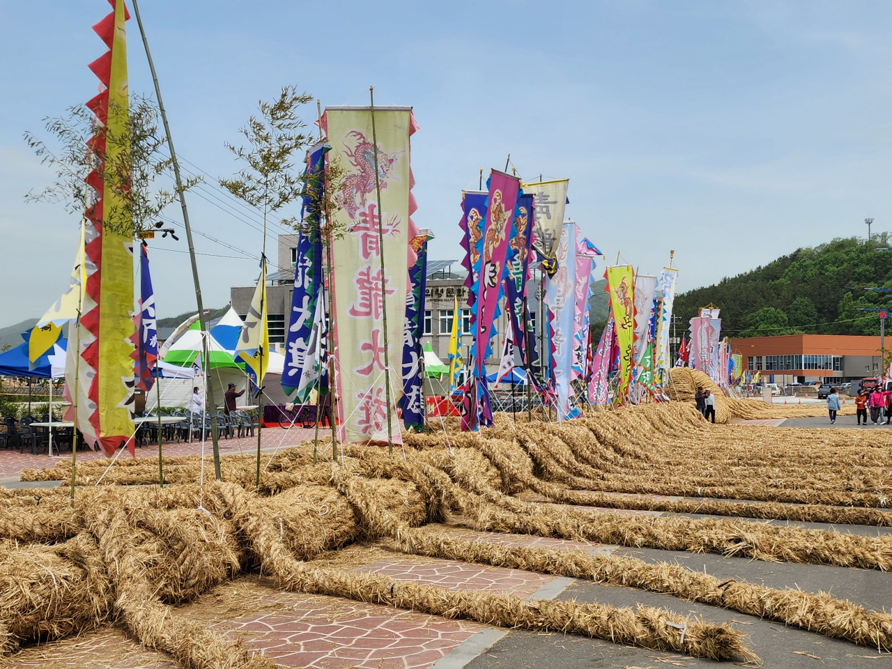 6000명의 건곤일척 줄다리기 대결을 앞두고 긴장감이 감도는 의령 홍의장군축제, 큰줄땡기기 경기장