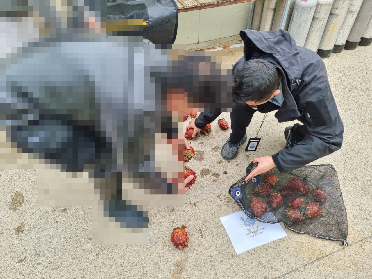 [속초해경 제공]