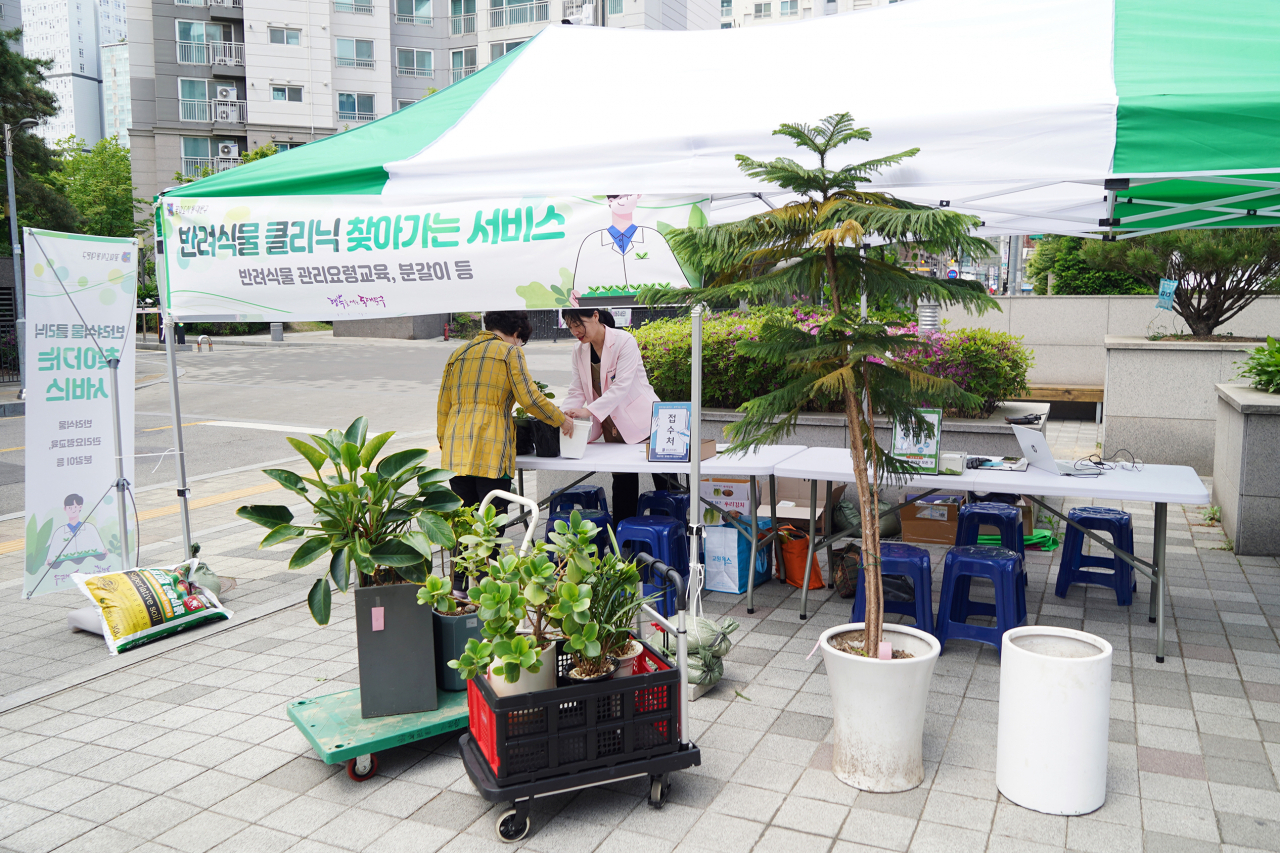 동대문구에서 찾아가는 반려식물 클리닉이 운영되고 있다. [동대문구 제공]