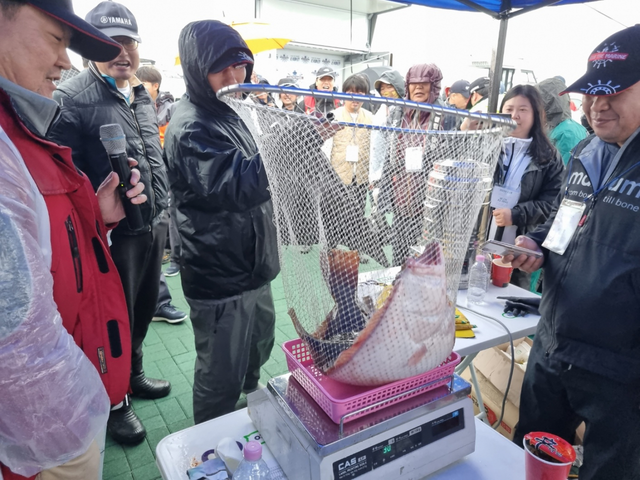 [평택항만공사 제공]