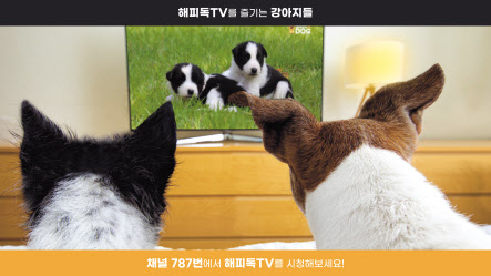 KT스카이라이프가 반려견을 위한 채널 해피독TV를 신규 론칭했다. 스카이라이프 고객은 월 8800원에 해피독TV 모든 서비스를 이용할 수 있다. [KT스카이라이프 제공]
