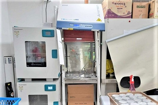 [강원도소방본부]