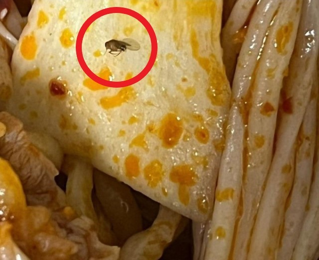 [온라인 커뮤니티 갈무리]