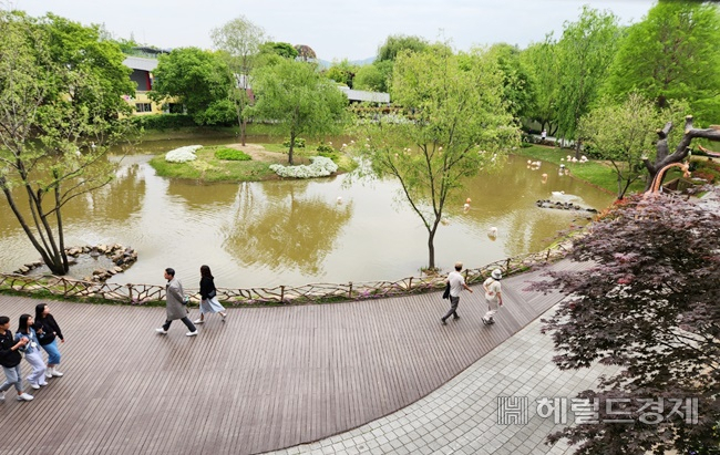 2023순천만정원박람회장 서문 동물원 홍학떼. /박대성 기자.
