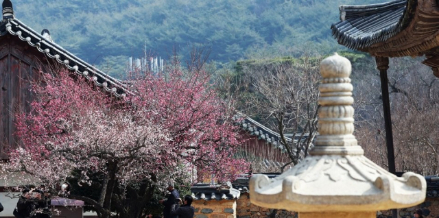 경남 양산시에 위치한 통도사. 연합뉴스