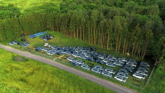 제주시 애월읍 고성리 중산간 초지에 렌터카로 쓰이던 BMW 전기차 i3 수십대가 방치돼 있다. [연합]
