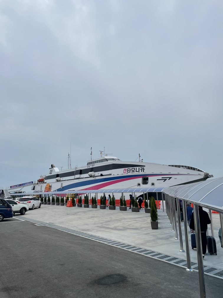 취항1주년을 맞은 산타모니카호가 진도-제주 간 연간 20만 탑승객을 돌파했다