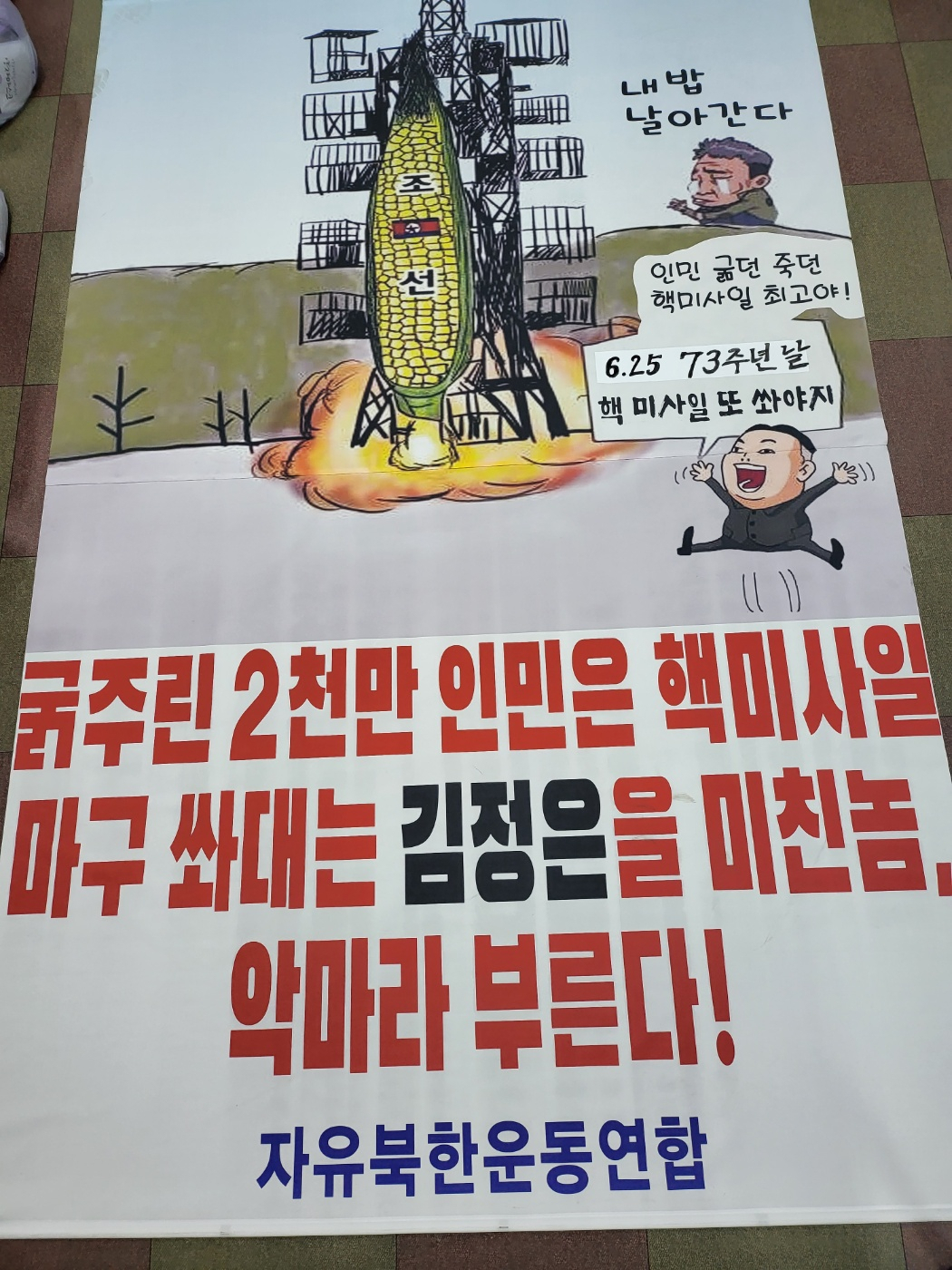 탈북민 단체인 자유북한운동연합은 타이레놀 등 의약품과 대북전단 등을 대형 풍선에 매달아 지난 5일 북한으로 날려 보냈다고 8일 밝혔다. [자유북한운동연합 제공]