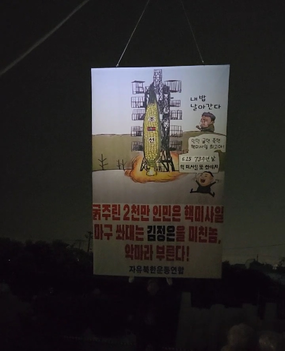 [자유북한운동연합 제공]