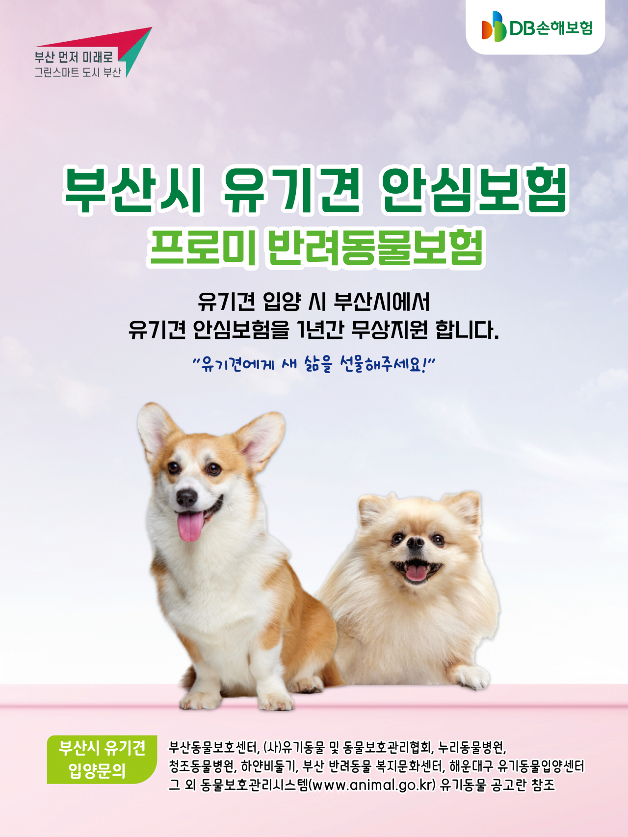 [DB손해보험 제공]