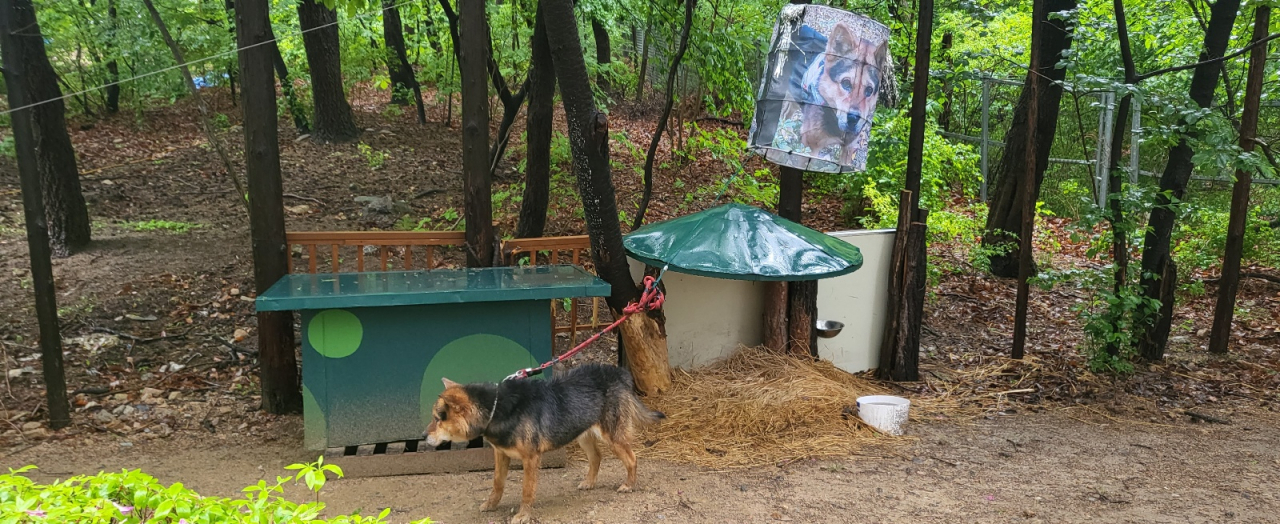 [온라인 커뮤니티 갈무리]