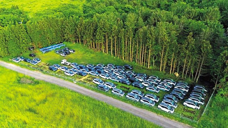 제주시 애월읍 고성리 중산간 초지에 렌터카로 쓰이던 BMW 전기차 i3 수십대가 방치돼 있다. [연합]