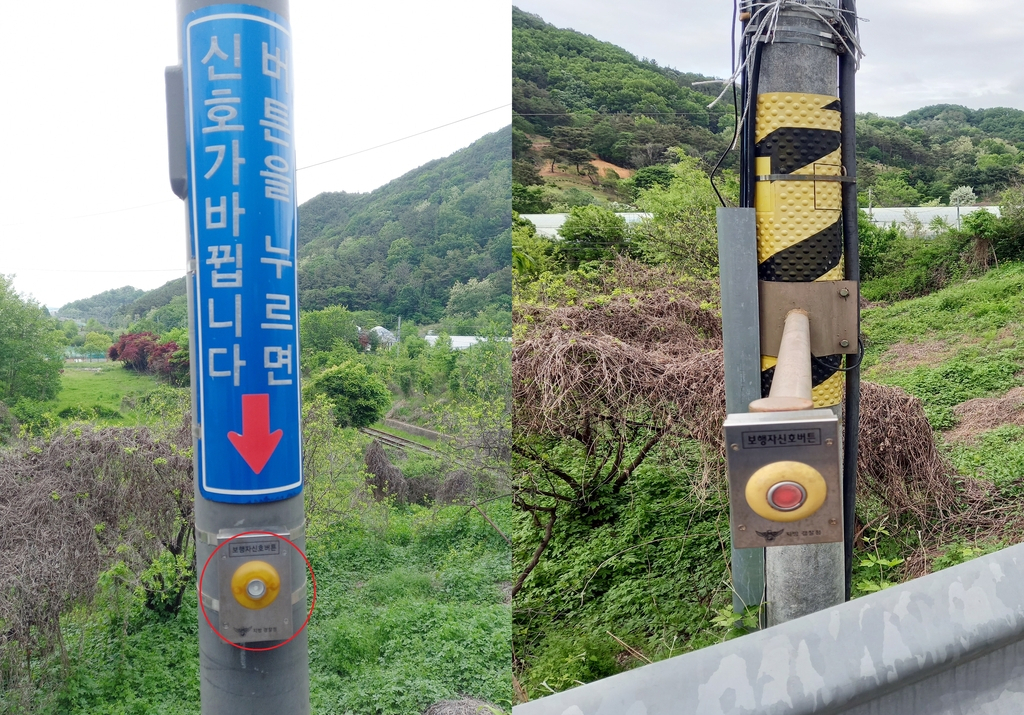 왼쪽은 동생 이씨가 누른 고장 난 버튼, 오른쪽은 새로 설치된 정상적으로 작동하는 버튼이다. 고장 난 버튼 위에 '누르면 신호가 바뀐다'는 안내문구가 쓰여 있다.[연합]