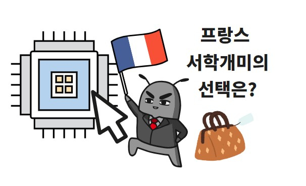 [망고보드]