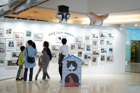 Exhibition with your dog, traditional designs and coffee in the rain