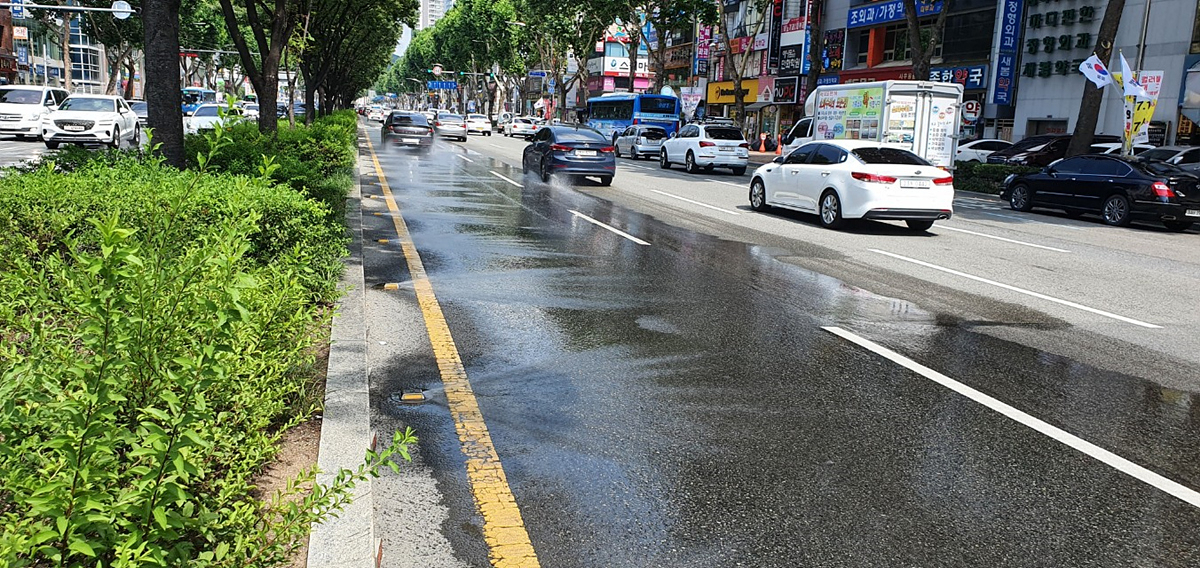 [대구시 제공]