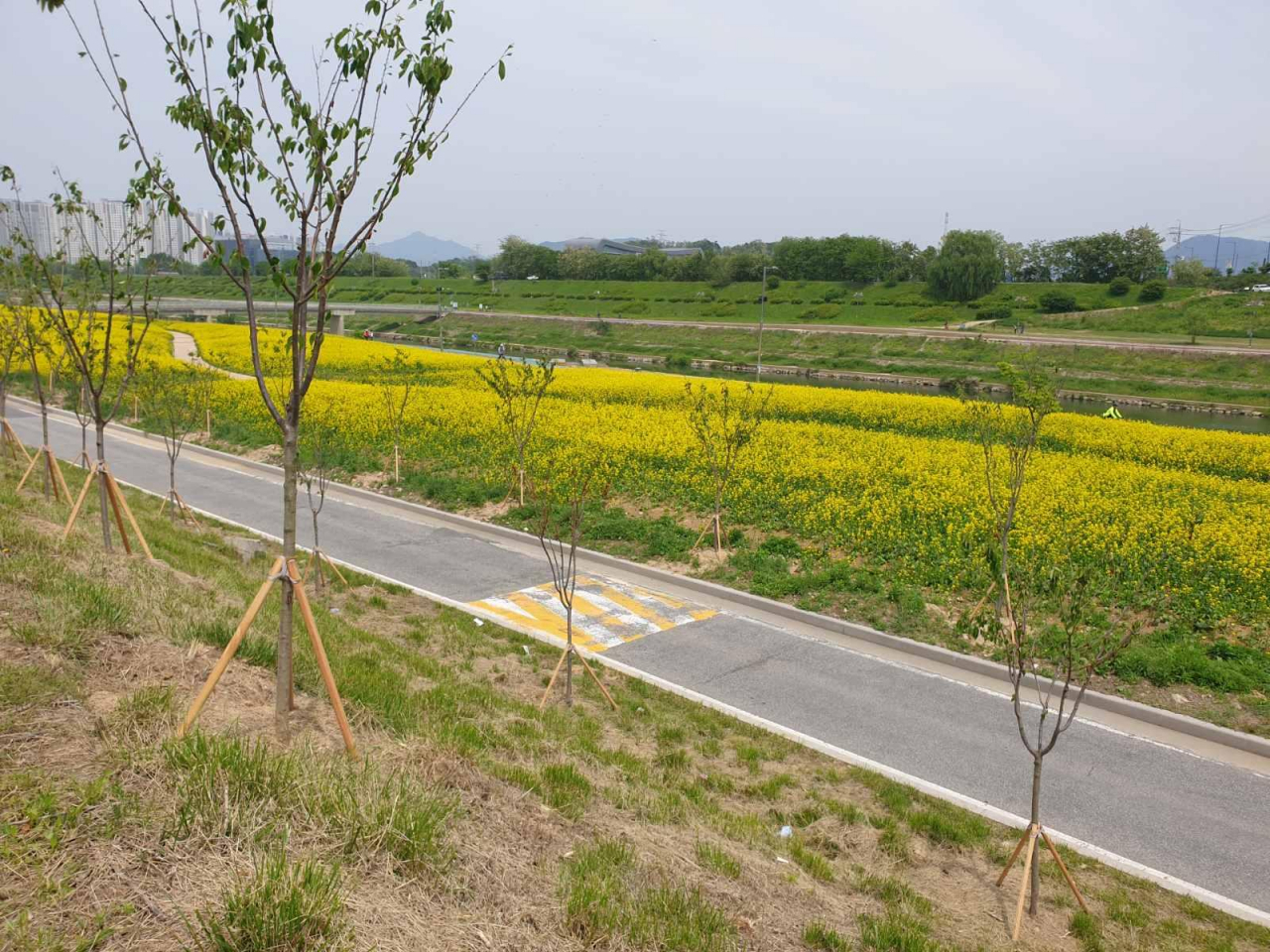 왕숙천