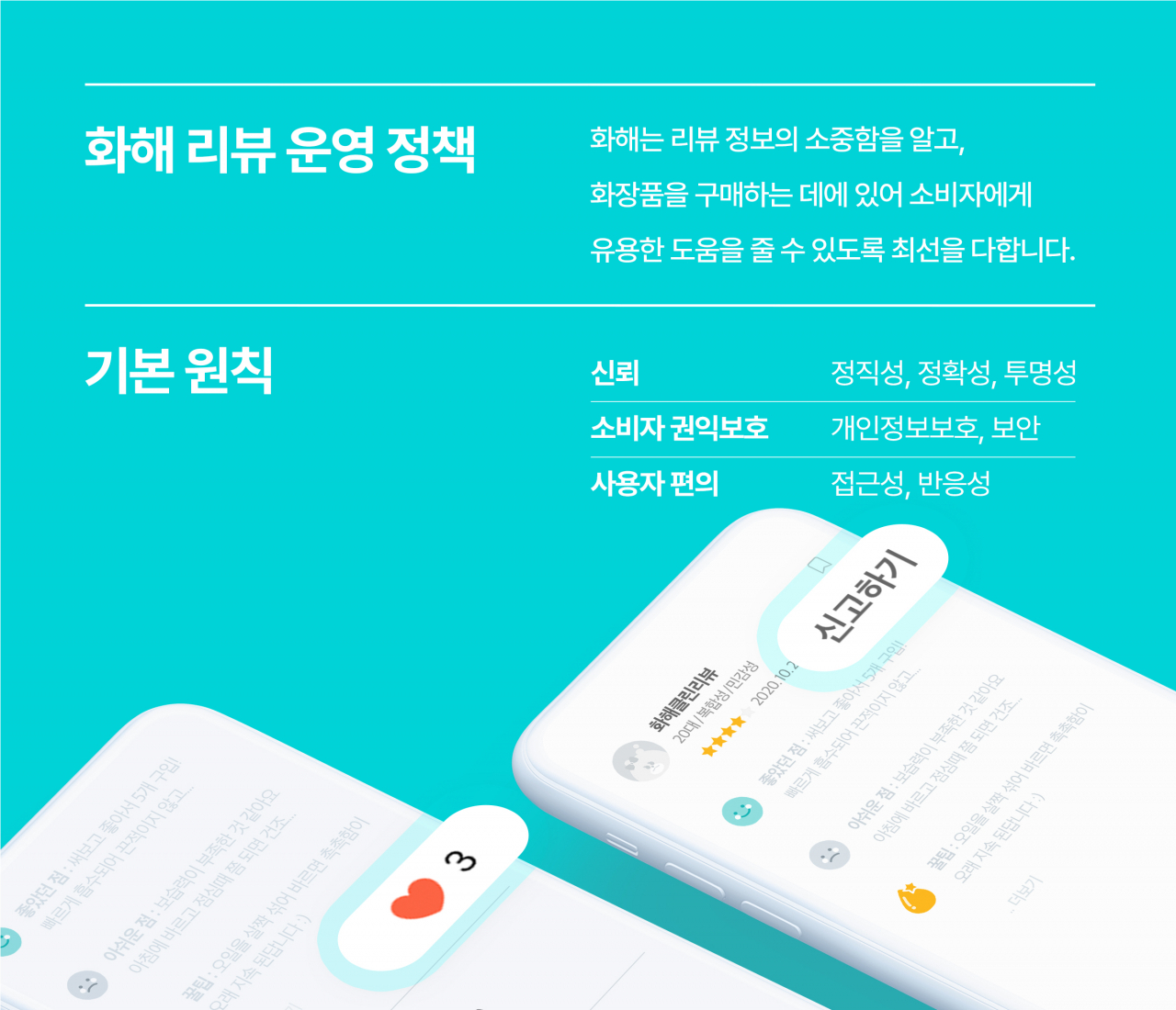 [버드뷰 제공]