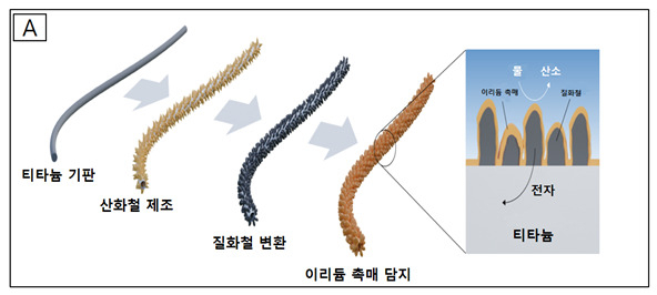 개발 전극 제조 공정 모식도.[KIST 제공]