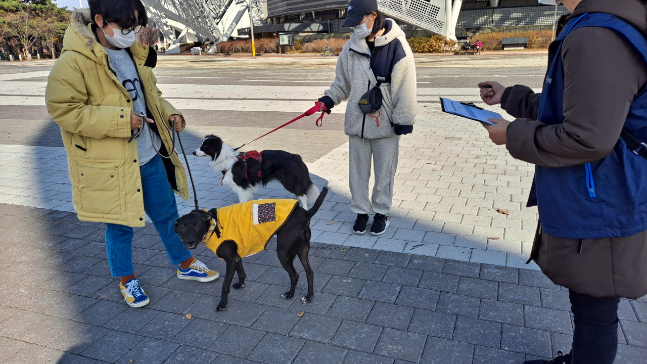 서울시는 동물보호법 시행에 따라 동물 미등록, 반려견 배설물 미수거, 맹견 책임보험 가입 등의 의무를 지키지 않으면 각각 최대 60만원, 50만원, 300만원의 과태료가 부과된다고 19일 밝혔다. [서울시 제공]