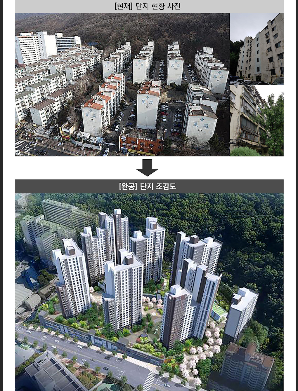 [성남시 제공]