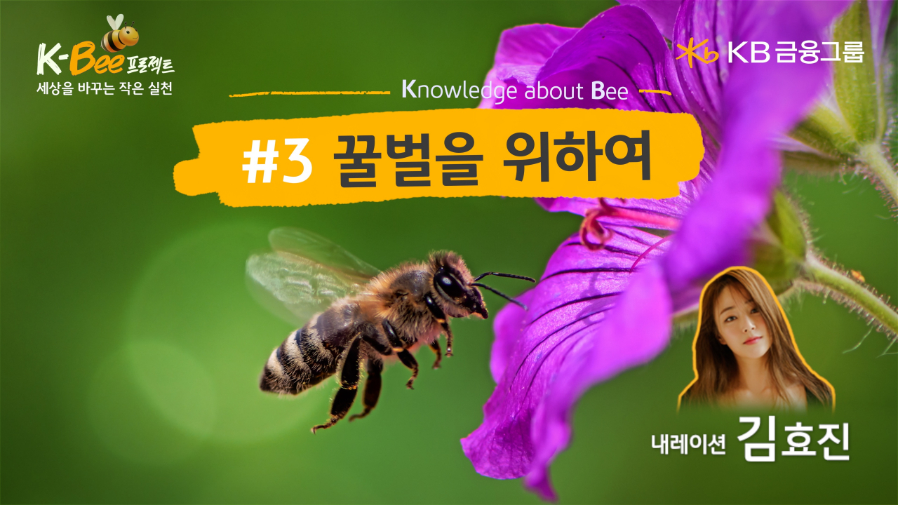 [KB금융그룹 제공]