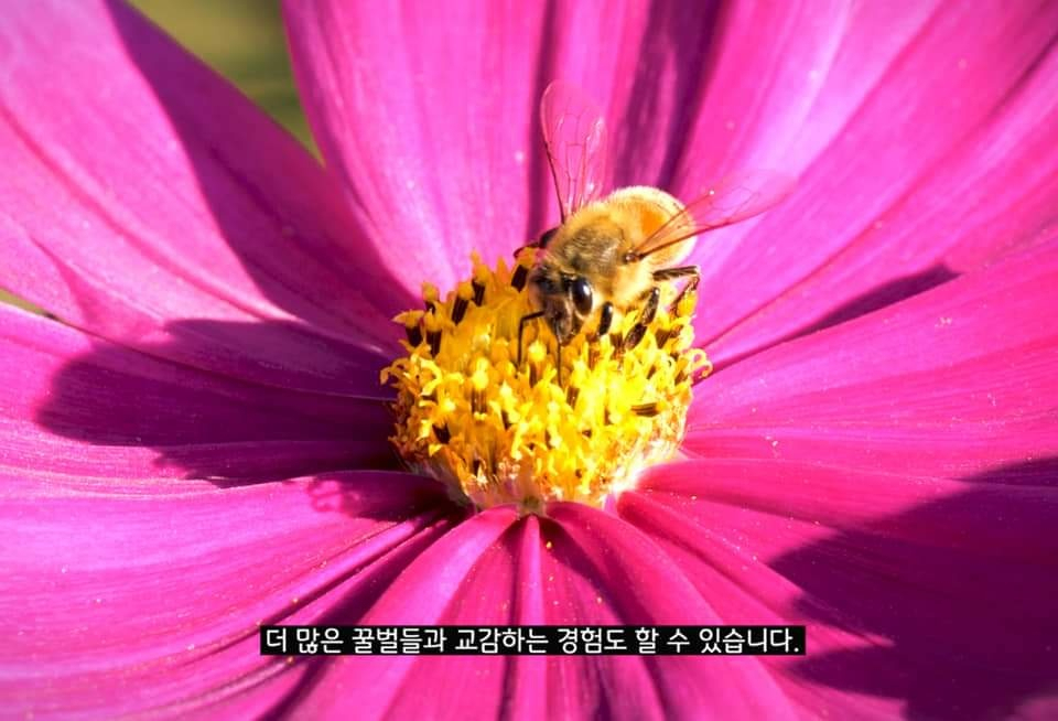 [서경덕 교수 페이스북]