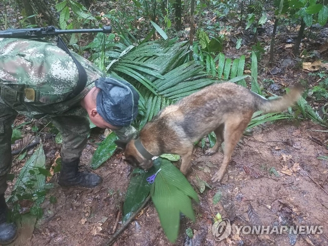 비행기 추락 사고 생존자 수색하는 콜롬비아 군 장병. [콜롬비아 공군 제공. AFP]