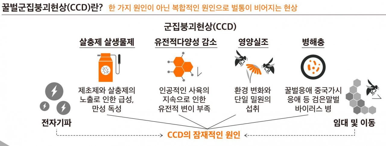 “‘이 사진’ 실화냐?” 꿀벌 집단 실종 사건 ‘무서운 전말’ [지구, 뭐래?]