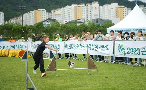 19일 반려견 어질리티 대회에서 견주와 개가 폭풍 질주로 허들을 넘고 있다.