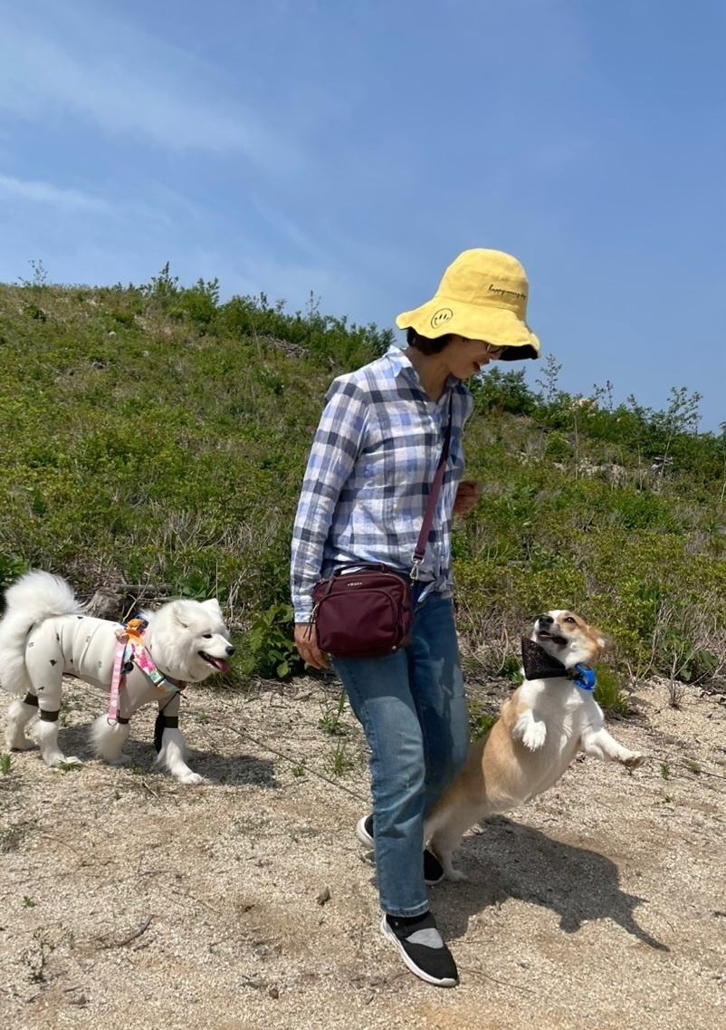 지난 20일 강원도 고성군 성천리 일대에서 진행된 ‘신한은행과 함께하는 산타독(Dog) 봉사활동’에서 참가자들이 봉사활동을 하고 있다.