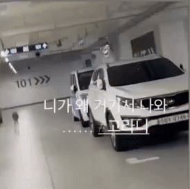 [온라인커뮤니티 갈무리]
