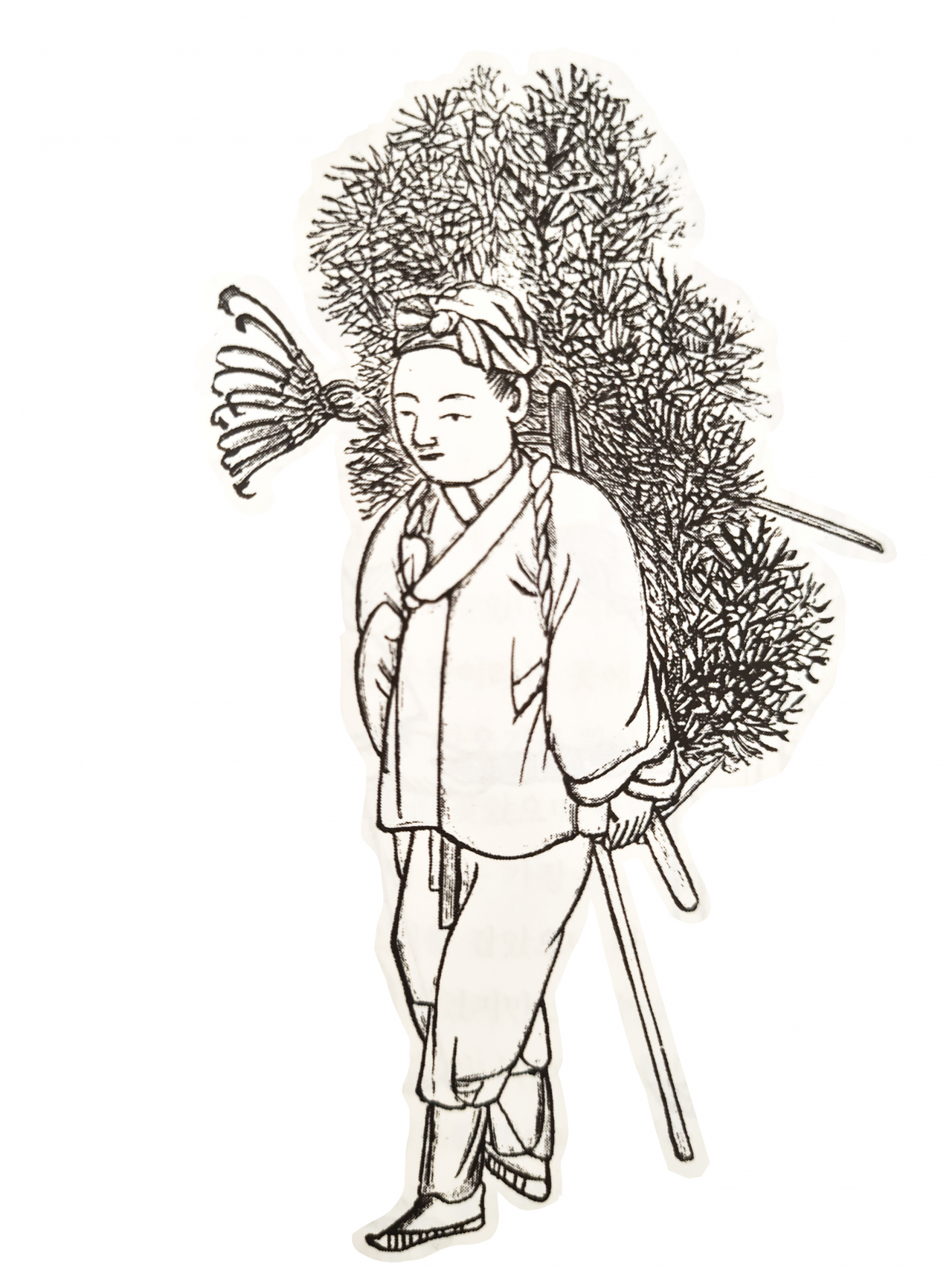 Brushwood-cutter