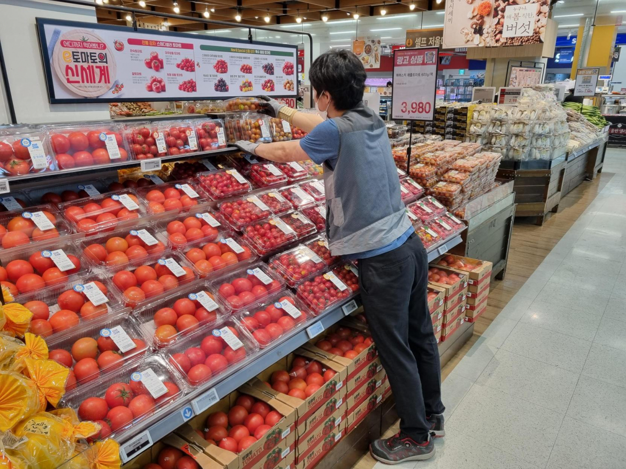 이마트의 한 매장에서 직원이 토마토 매대를 정리하고 있다. [이마트 제공]