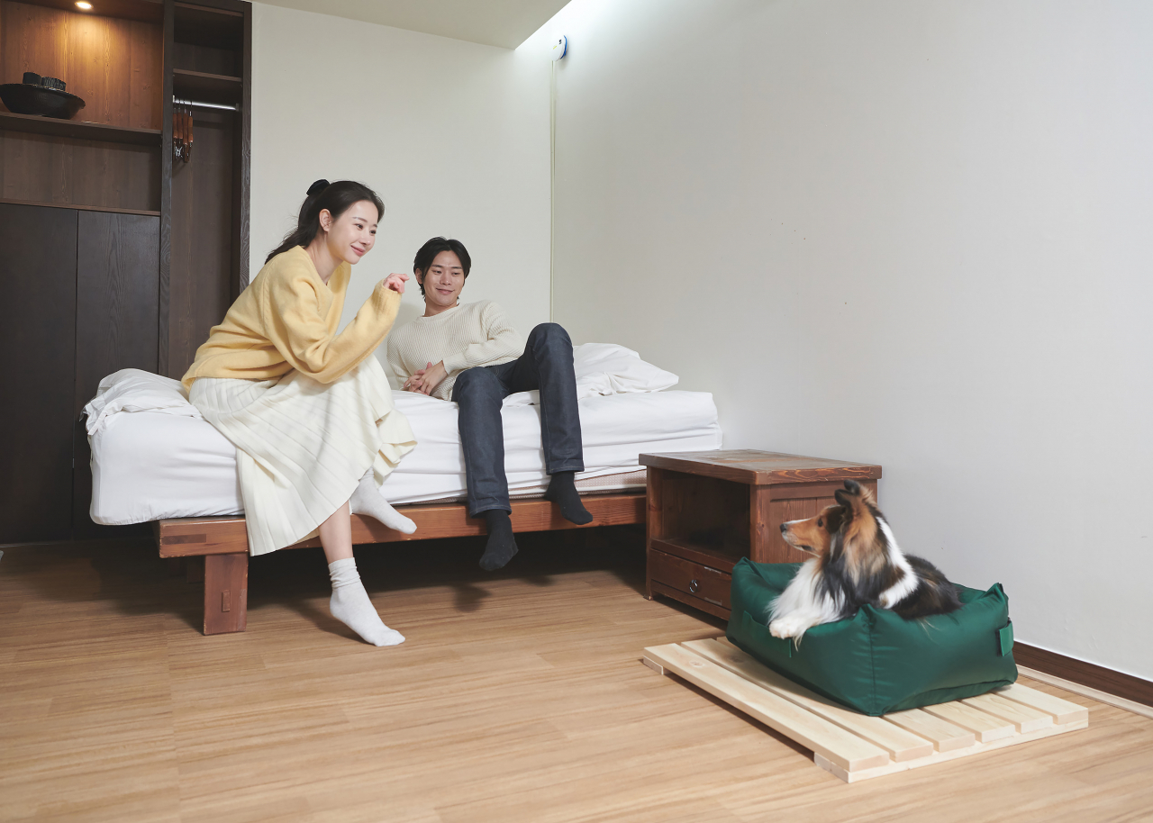 힐리펫룸