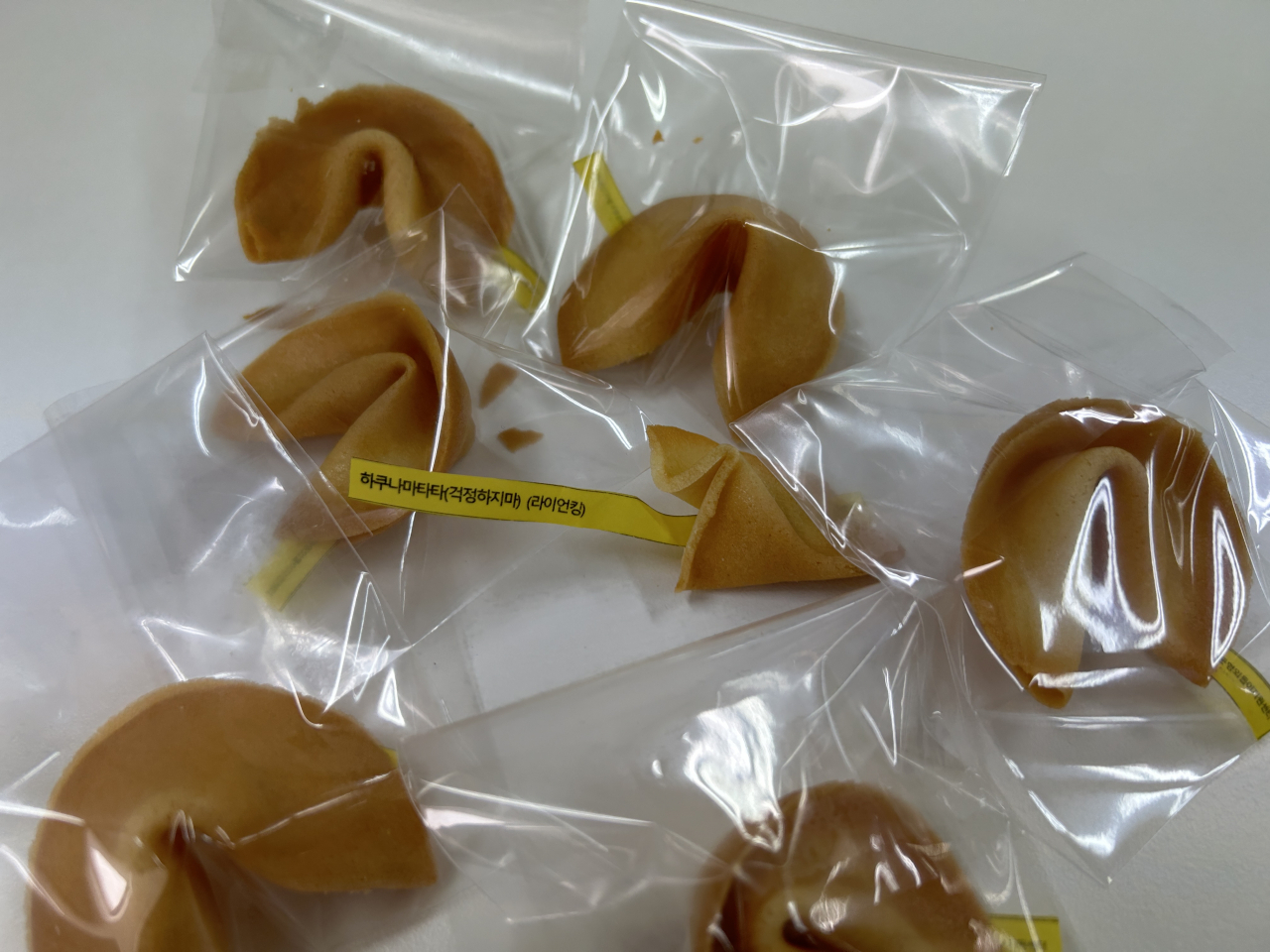 지난 24일 방문한 광주은둔형외톨이지원센터는 시 조례로 탄생한, 전국 유일한 은둔형외톨이지원센터다. 지원센터 직원들은 은둔형 외톨이의 집을 방문하거나 할 때 포춘쿠키 등 다과를 가져간다. 광주=김빛나 기자