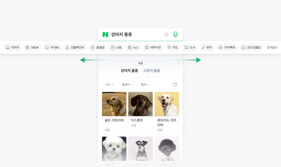 네이버 검색탭 디자인. [네이버 제공]