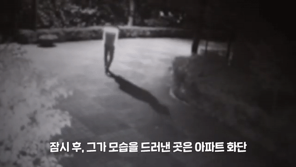 [서울경찰청 유튜브 갈무리]