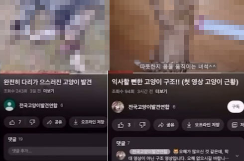 동물학대 혐의로 검찰에 송치된 A씨가 유튜브에 올린 고양이 학대 영상. [동물권단체 '케어' 인스타그램 캡처]