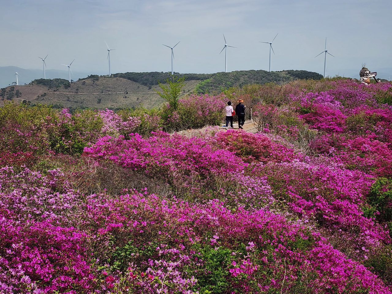 한우산