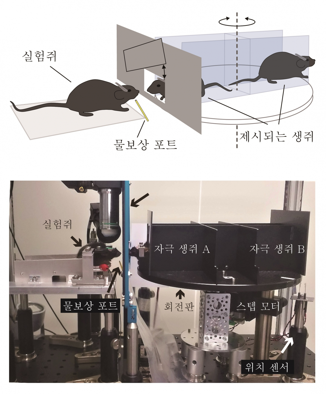 개체 인지행동 실험장치.[IBS 제공]