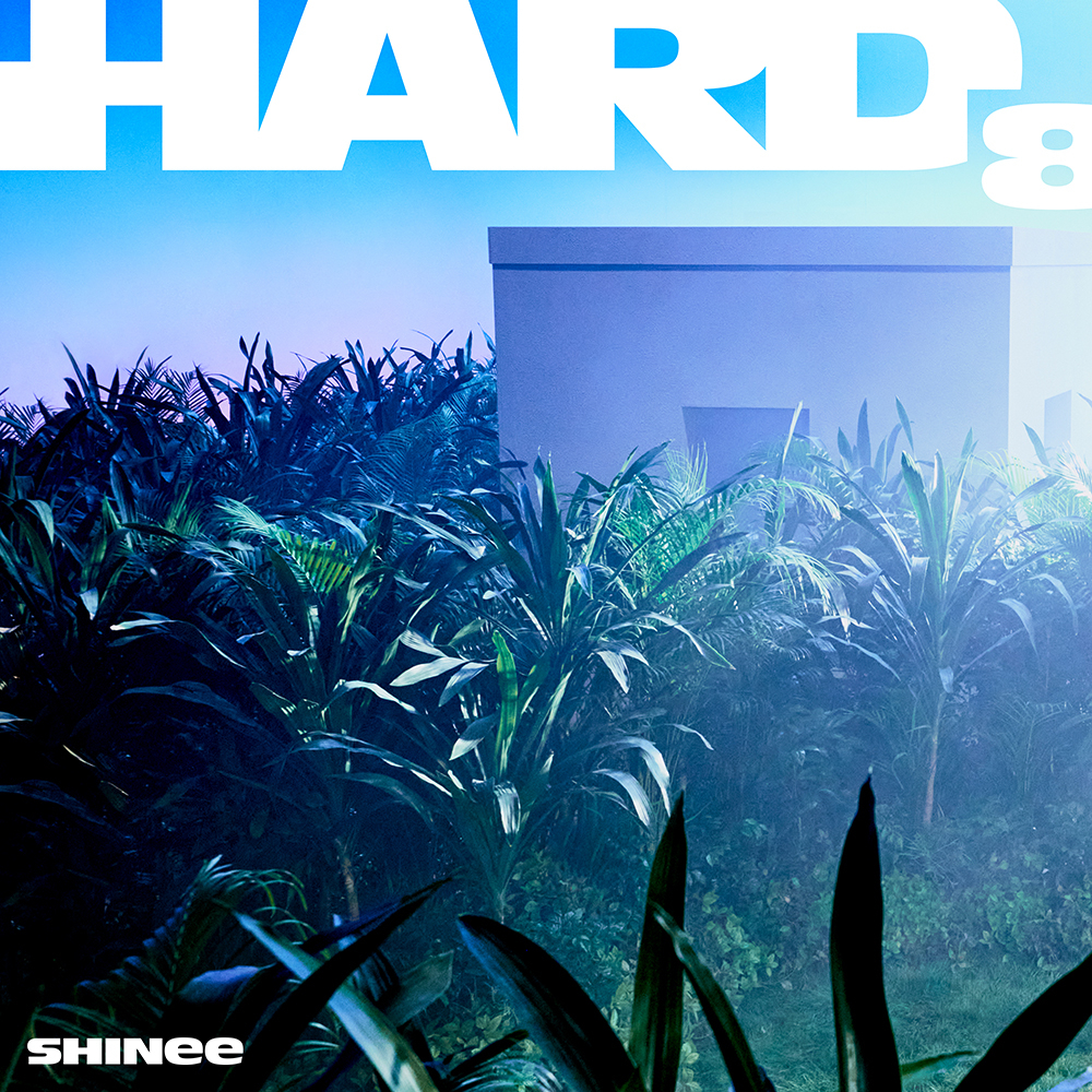 SHINee - SHINee会報 seek No.1~8 SHINee - 8th Mini Album 'Hard' [Play Version] – K Stars