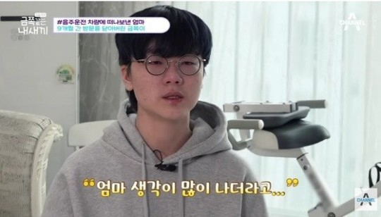 세종시 음주운전 교통사고 피해자의 아들 [채널A '금쪽같은 내새끼']