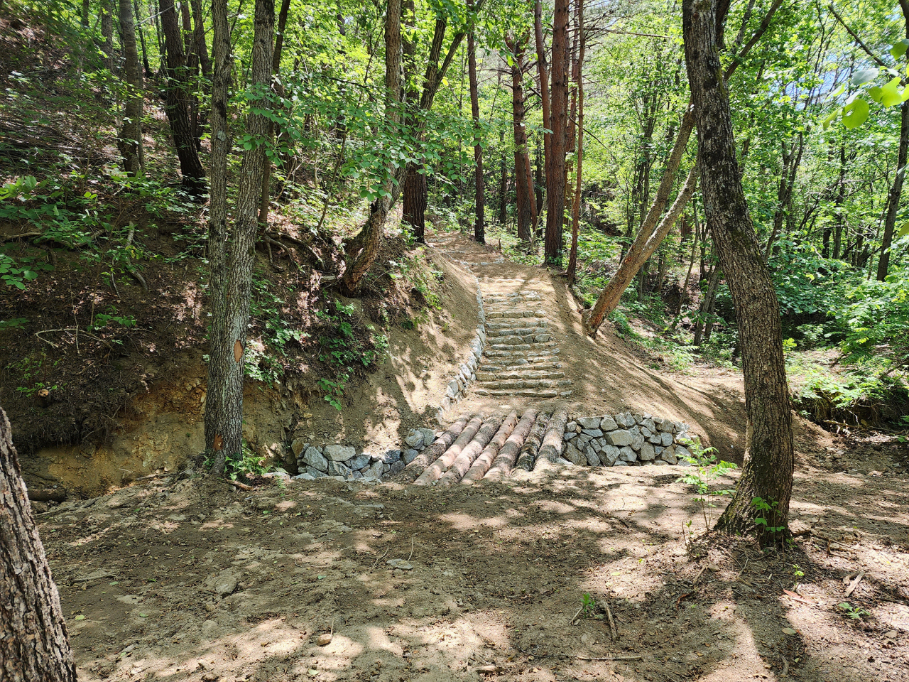 동서트레일 숲길 모습.[경북도 제공]
