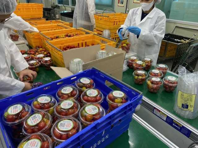 담양군은 관내 미인가 대안학교, 중학교, 고등학교 14개교를 대상으로 담양산 제철 과일 및 가공식품 간식을 제공한다.