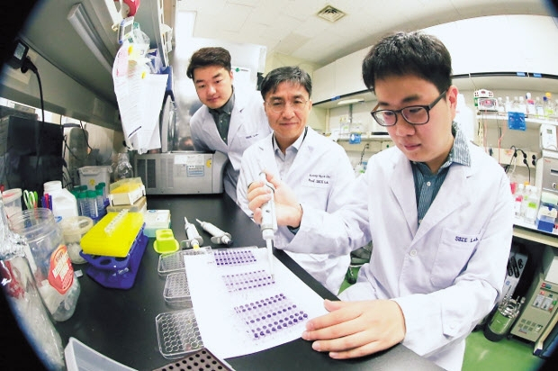 조광현(가운데) 교수 연구팀의 연구 모습. [KAIST 제공]