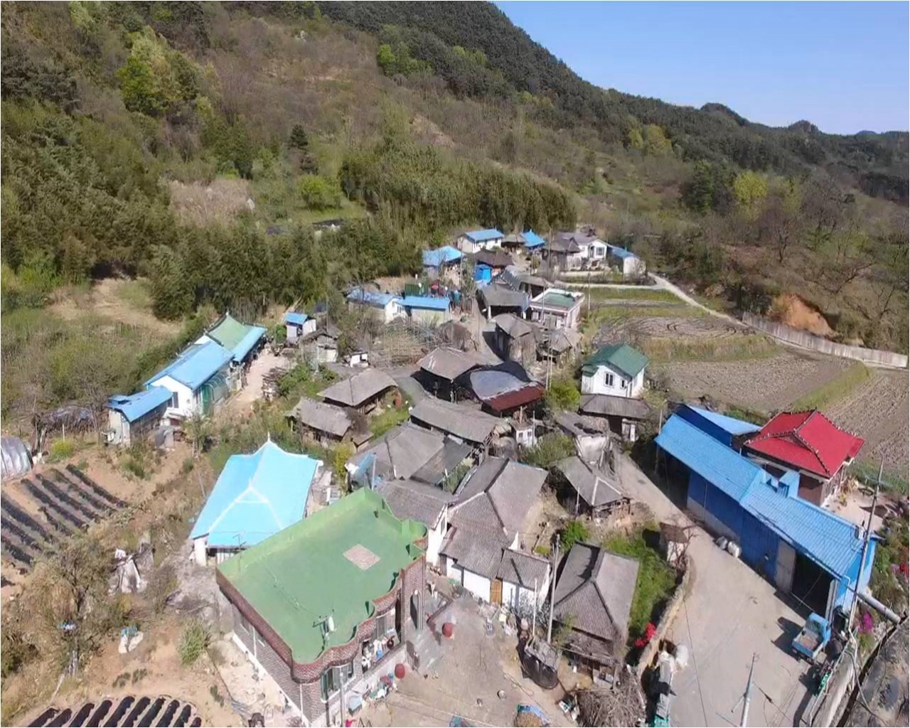 [농림축산식품부 제공]