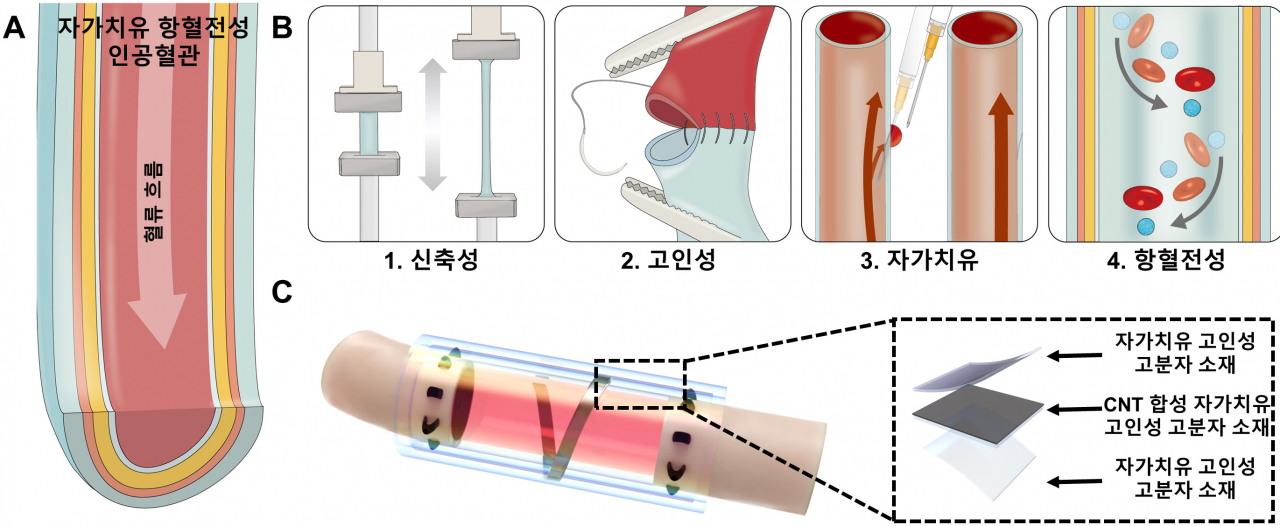 인공혈관으로서 적용가능한 자가치유 항혈전성 소재 모식도.[연세대학교 제공]