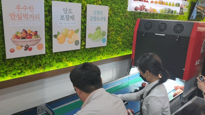 이마트 에브리데이 직원들이 8일 서울 강남구 코엑스에 마련된 ‘신세계 유니버스 페스티벌’ 전시 체험관에서 사과들을 ‘비파괴 과일 당도선별기’에 올려두고 있다. 김벼리 기자